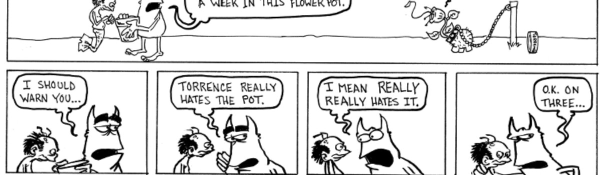 Birds, bees and botany
