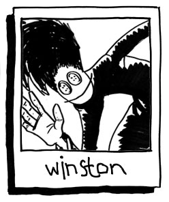 Winston