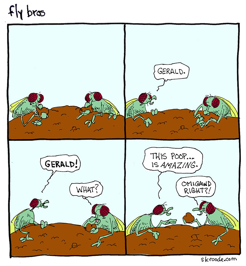 Fly bros