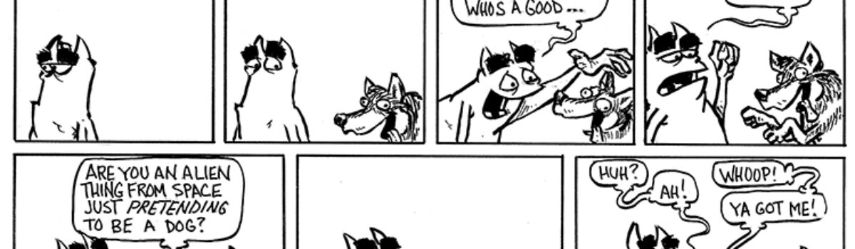 Who barks there?